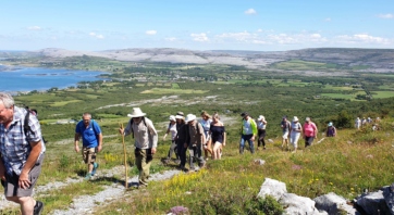 Burrenbeo Image 002