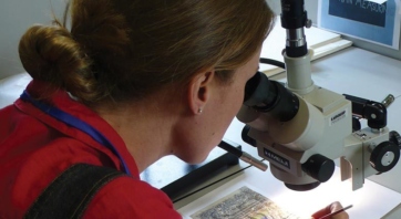 Chester Beatty Internship