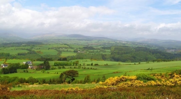 Landscapes