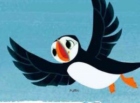 Puffin Rock activity book Word Search