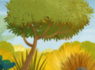 Puffin Rock activity book Your Favourite tree
