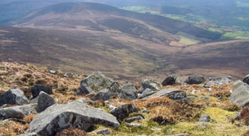 View From Mt Leinster L Scott 2
