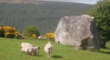 Wicklow Uplands