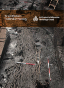 Peatland Archaeology